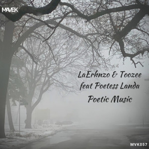 Listen to Poetic Music song with lyrics from LaErhnzo & TooZee
