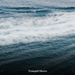 Album !!!!" Tranquil Shores "!!!! from 