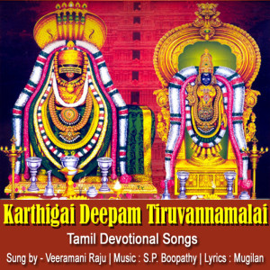 Karthigai Deepam Tiruvannamalai
