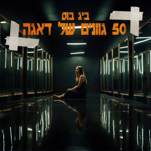 收聽ביג בוס的50 גוונים של דאגה歌詞歌曲