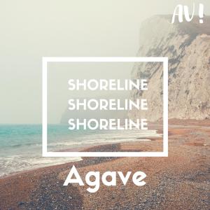 Album Shoreline oleh Agave