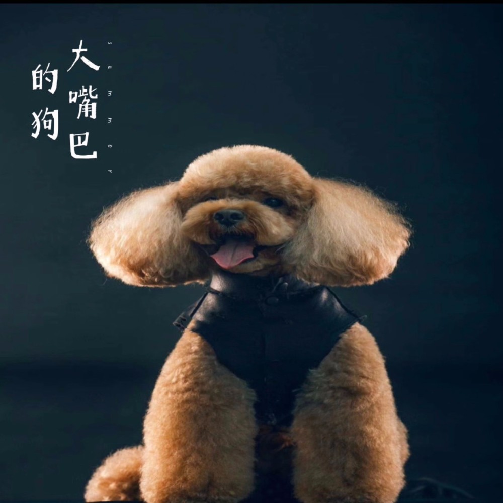 大嘴巴的狗 (完整版)