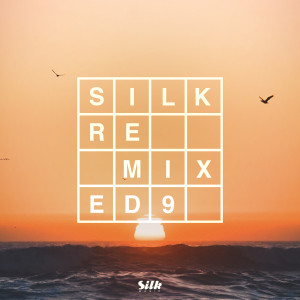 Andromedha的專輯Silk Remixed 09