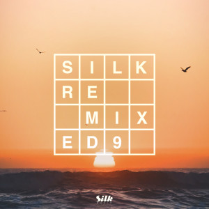 Album Silk Remixed 09 from Andromedha