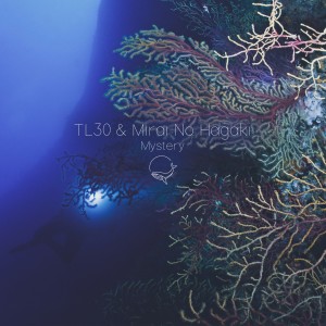 ดาวน์โหลดและฟังเพลง Mystery พร้อมเนื้อเพลงจาก TL30