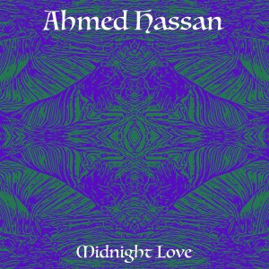 收聽Ahmed Hassan的Not Enough Fan歌詞歌曲