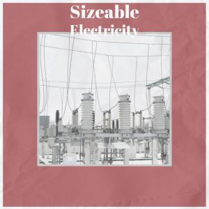 Album Sizeable Electricity from Various