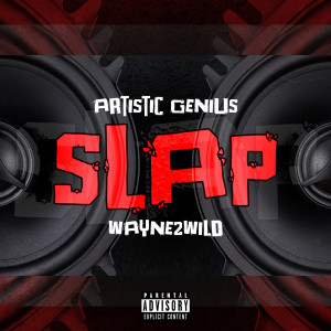 Wayne2Wild的專輯Slap