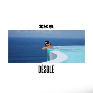 Listen to Désolé (Explicit) song with lyrics from ZKR