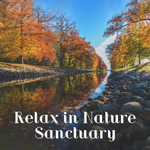 Dengarkan lagu Ecstasy of Nature nyanyian Relaxing Nature Sounds Collection dengan lirik