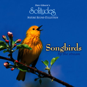 ดาวน์โหลดและฟังเพลง American Robin (American Redstart) พร้อมเนื้อเพลงจาก Dan Gibson's Solitudes