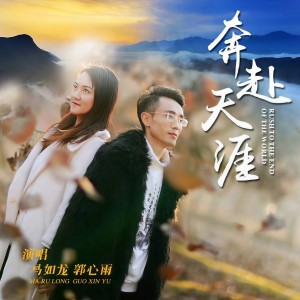 Album 奔赴天涯（DJ沈念版） from 马如龙