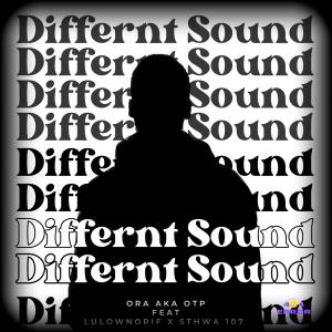 LulownoRif的專輯Differnt Sound (feat. LulownoRif & Sthwa 107)