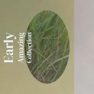 Listen to Hovercraft Tantalize song with lyrics from Nolly Capik