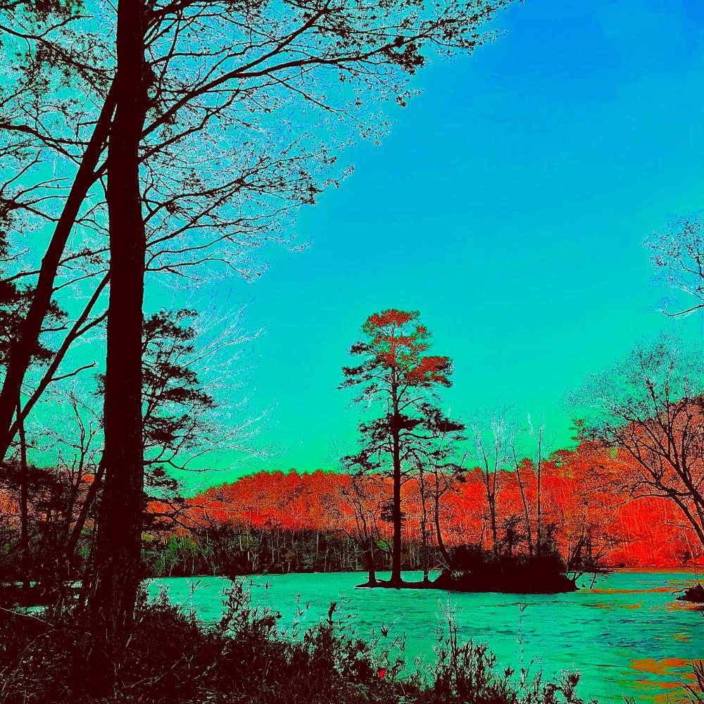 Palisades