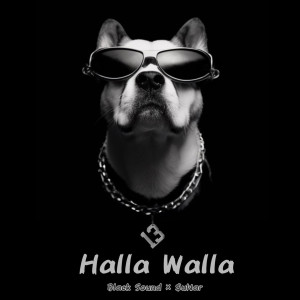 Black Sound的專輯Halla Walla (Explicit)