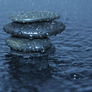 Gentle Rain Shower: Zen Moments of Tranquility