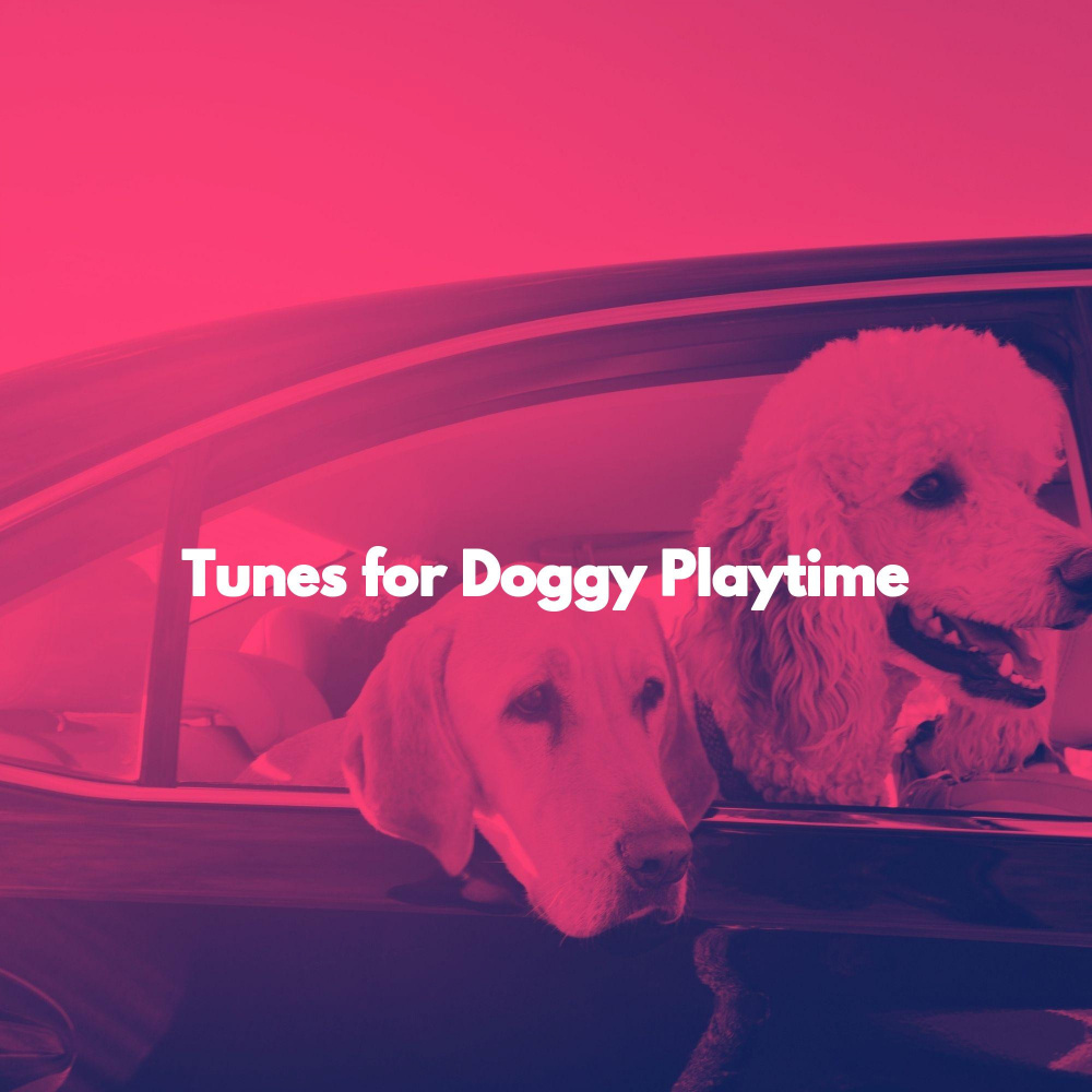 Incredible Backdrops for Doggies in December