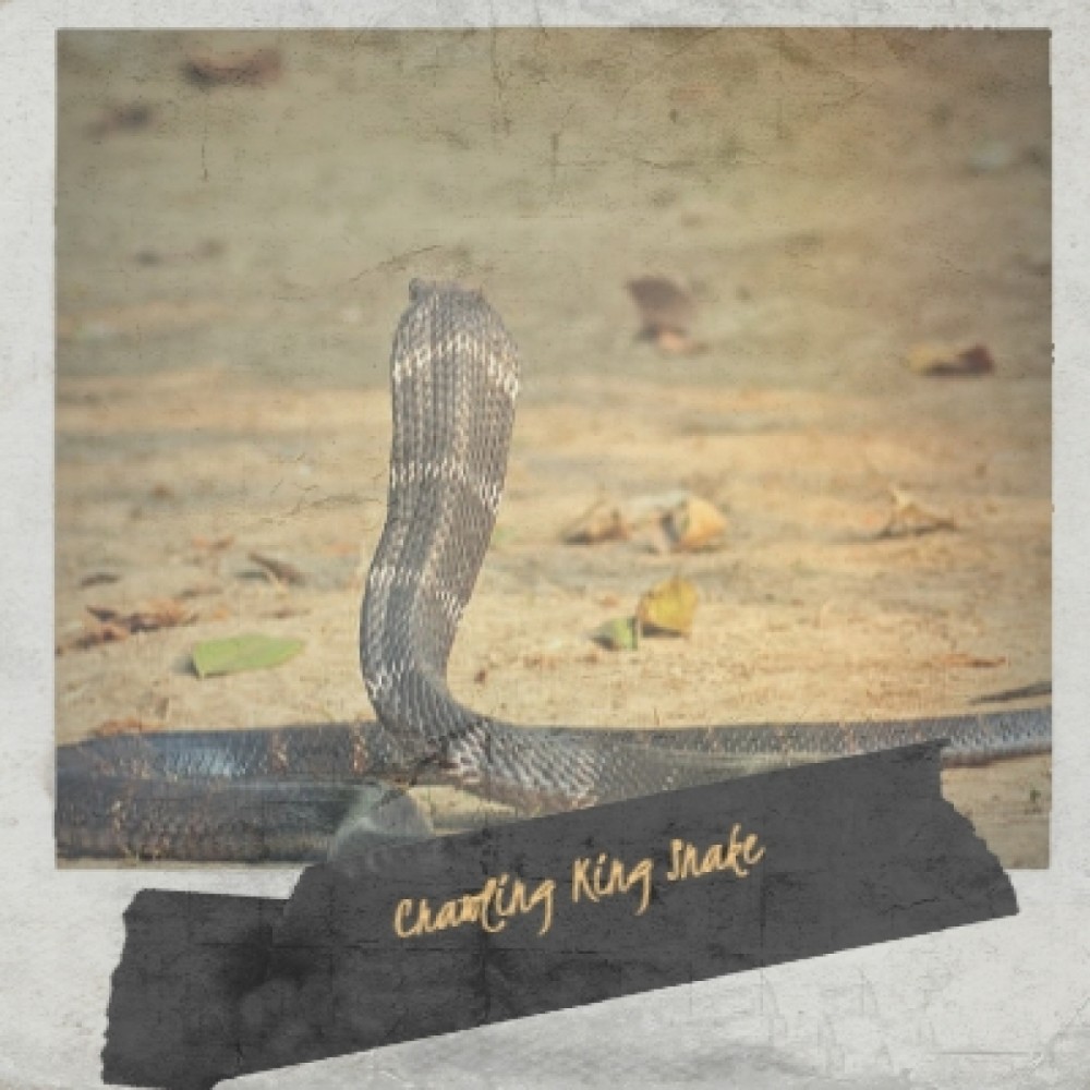 Kiss Me Goodbye (Original Soundtrack 'Elmer Gantry')