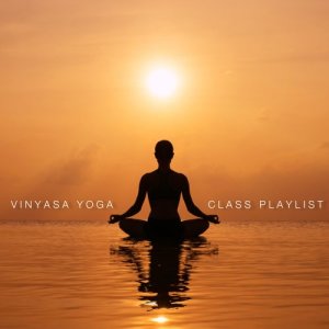 收聽Robin Mahler的One Hour Non-Stop Vinyasa Yoga Mix歌詞歌曲