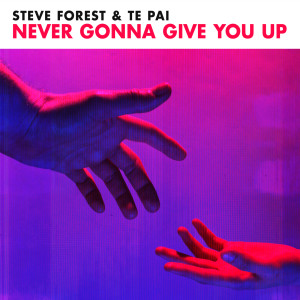 ดาวน์โหลดและฟังเพลง Never Gonna Give You Up พร้อมเนื้อเพลงจาก Steve Forest
