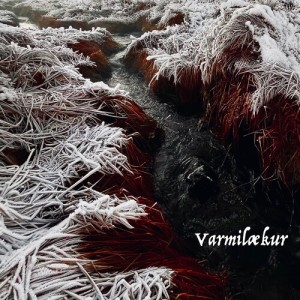 Sverrir Bergmann的專輯Varmilækur