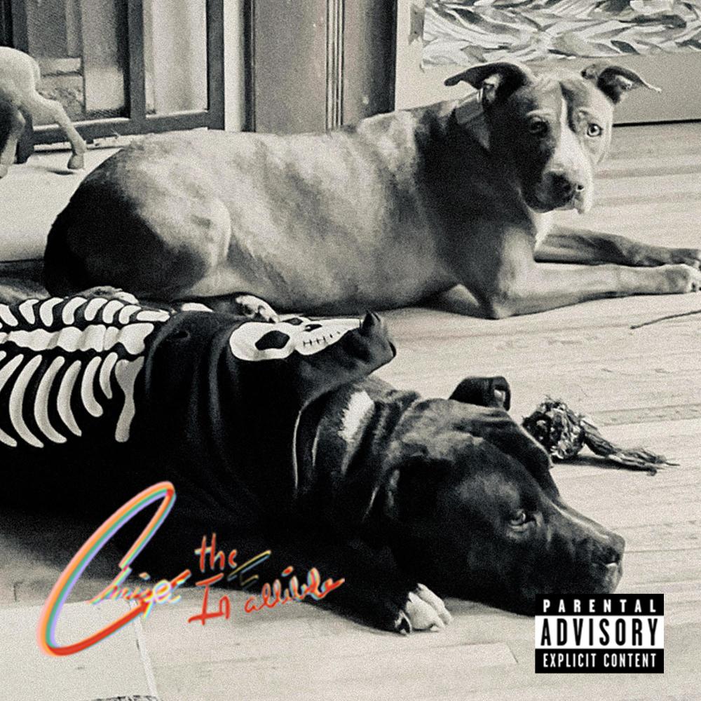 2 Dogs (Explicit)