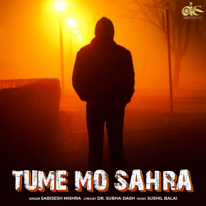 Listen to Tume Mo Sahra song with lyrics from Sabisesh Mishra
