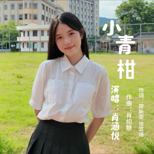 Album 小青柑 from 肖涵悦