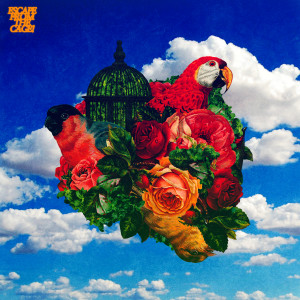 Listen to BIRD SET FREE(feat. CHILDDIAHN, HariBoi) song with lyrics from mt. fred