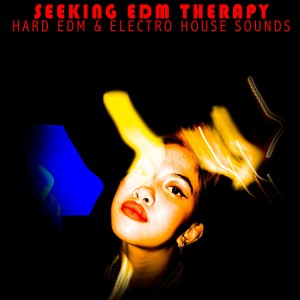 Various Artists的專輯Seeking EDM Therapy