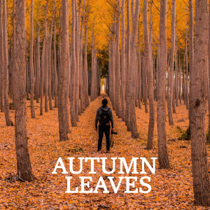 อัลบัม Autumn Leaves (Explicit) ศิลปิน Various