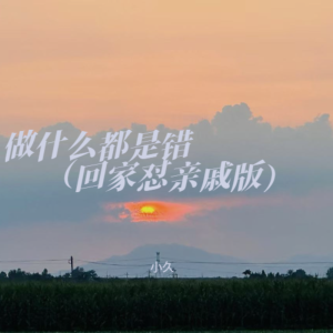 Listen to 做什么都是错（原版） (完整版) song with lyrics from 小久