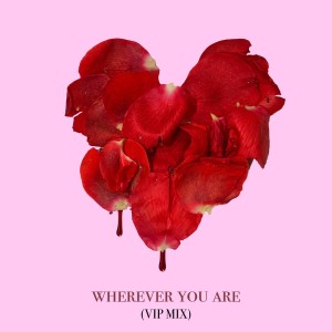 收听adam&steve的wherever you are (adam&steve VIP Remix)歌词歌曲