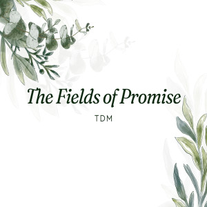 Album The Fields of Promise from TDM