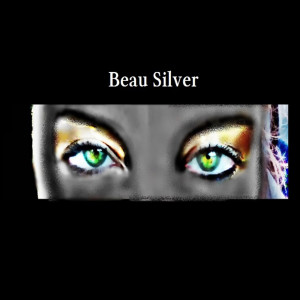 收听Beau Silver的Fellow歌词歌曲