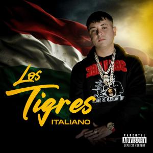 收聽tiguere6.5的adictiva (feat. Young Gangster)歌詞歌曲