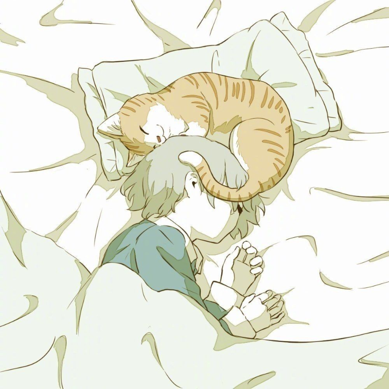 Cherish404