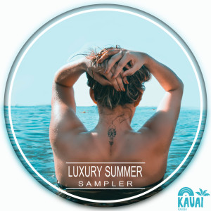 Various Artist的專輯Luxury Summer Sampler