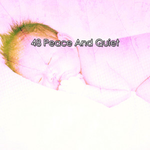 Album 48 Peace And Quiet from Baby Sleep Music