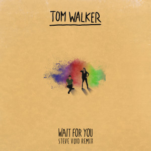 收聽Tom Walker的Wait for You (Steve Void Remix)歌詞歌曲