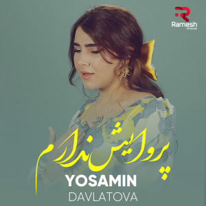 Listen to پروایش ندارم song with lyrics from Yosamin Davlatova