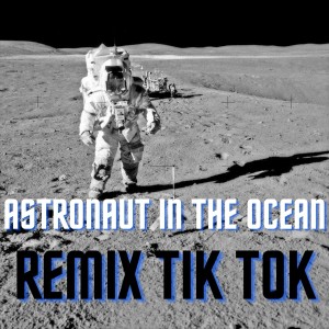 Dj Mix Tik Tok的專輯Astronaut In The Ocean Remix Tik Tok