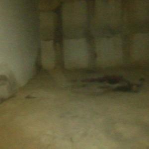 Dengarkan now that nothing's uncertain, i hate it (Explicit) lagu dari Log dengan lirik