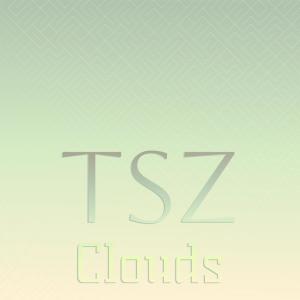 Various的专辑Tsz Clouds