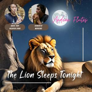 Listen to The Lion Sleeps Tonight (with Roberto Moreno) song with lyrics from Quoc Huy Nguyen Dinh