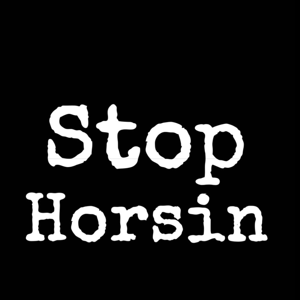 Stop Horsin (feat. SR22 & ONai) (Explicit)
