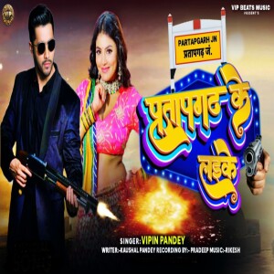 Listen to Pratapgarh Ke Laike song with lyrics from Vipin Pandey