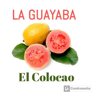 收聽La Guayaba的Colocao (Salsa Mix)歌詞歌曲