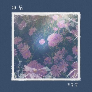 收聽王星賀的雛菊 (完整版)歌詞歌曲